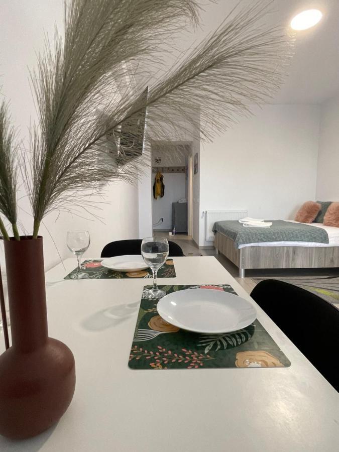 Studio Apartment Palas Mall Iasi Bagian luar foto